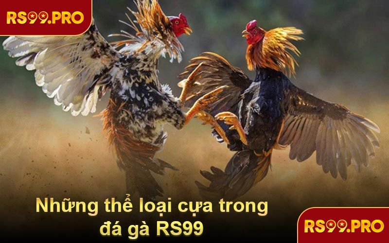 Những thể loại cựa trong đá gà RS99